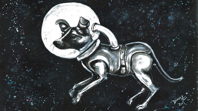 Heartbreaking Story of First Dog in Space