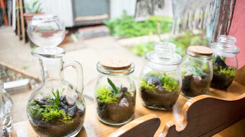 Small Space Gardening: Creative Solutions for Big Results